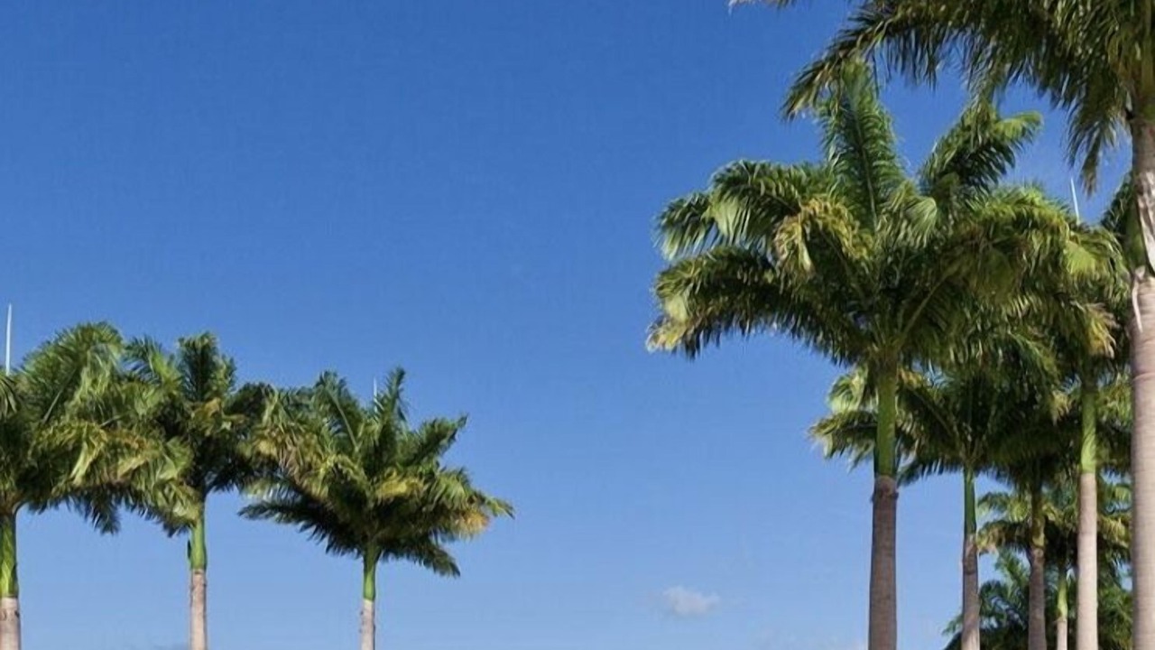 Photo of Outdoor in Westmoreland