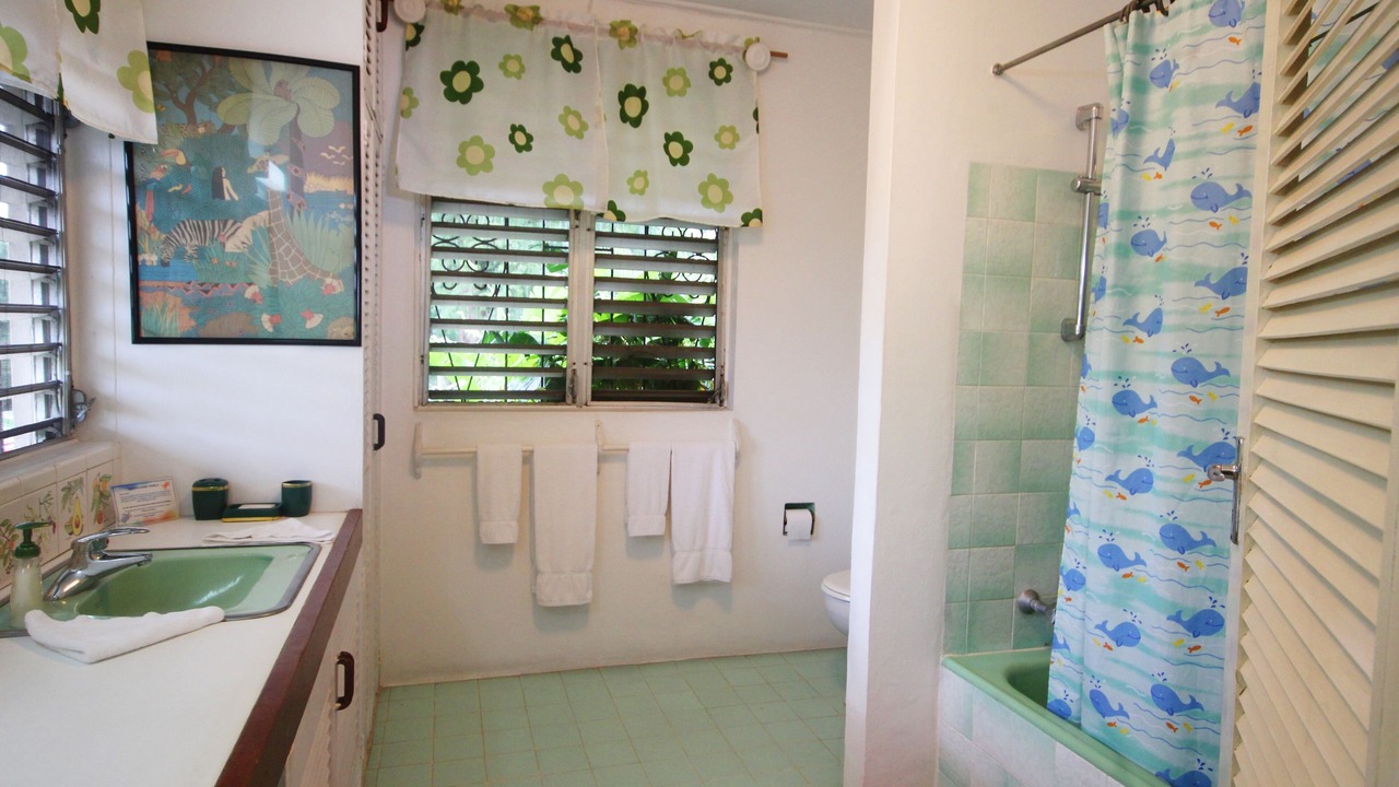 Photo of Bathroom in Mullins